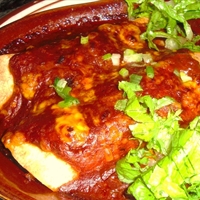 Cheese & Chicken Enchiladas Cheese & Chicken Enchiladas