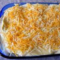 Chicken Enchilada Lasagna