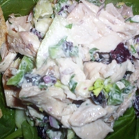 Chicken Salad