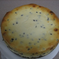 Chocolate Chip Cheesecake Chocolate Chip Cheesecake