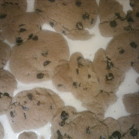Chocolate Chip Dessert Treat