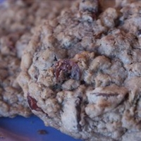 Chocolate Cranberry Oatmeal Cookies