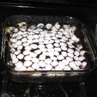 Chocolate-peanut Butter Snack Cake (6.5 Pts)