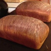 Cornell White Bread