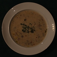 Cream Of Wild Mushroom Soup