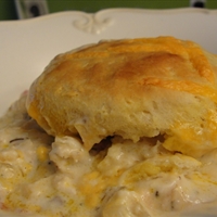 CREAMED CHICKEN with BISCUITS (19)