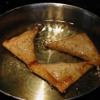 Crisp Chinese Won Ton