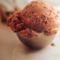 Double Chocolate Chip Ice Cream