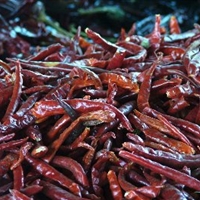 Dried Mushroom or Chili Oil-Warm Infusion Method