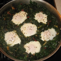 Eggs in a Nest