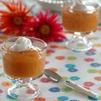 Fat-Free Pumpkin Pudding Fat-Free Pumpkin Pudding