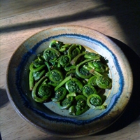 Fiddleheads