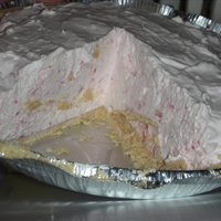 Frozen yogurt pie