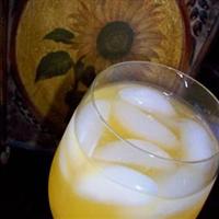 Fruit Juice Cooler #1
