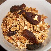 Granola--Fat Free Ovo