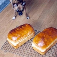 Helen's Kaiser Rolls