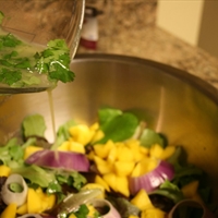 Honey-lime Cilantro Dressing