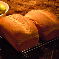 Honey Whole Wheat Bread Honey Whole Wheat Bread