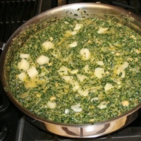 Indian Spinach (saag Panir)