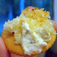 Jalapeno Popper Dip
