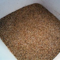 Jamaican Jerk Seasoning