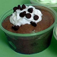 Jello Pudding Shots