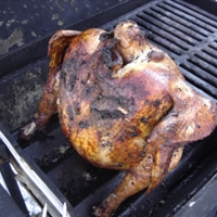 Jerk Beer Can Turkey