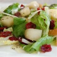 Kathy Minto's Salad & Dressing