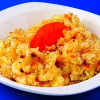 Kelli's Creamy Macaroni and Cheese (Updated 11/2011)