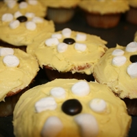 Kid's Darling Daisy Cupcakes