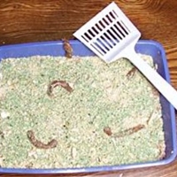 Kitty Litter Cake for Halloween Kitty Litter Cake for Halloween