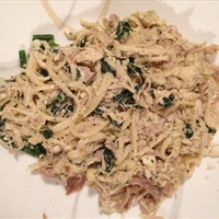 Leftover Turkey or Chicken Alfredo