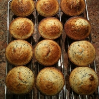 Lemon-Poppy Seed Muffins