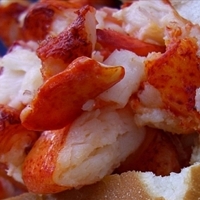 Lobster Rolls with Homemade Mayonnaise