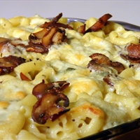 Macaroni w/ Bleu Cheese & Mushroom