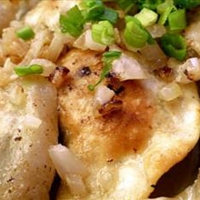 Main - Pierogies