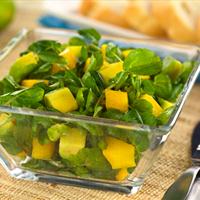 Mango - Avocado Salad
