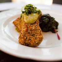 Mexicali Black Grouper