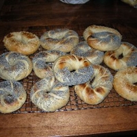 Montreal Bagels