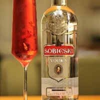 New Year’s Swanky Toast