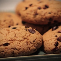 Nib Chip Cookie Nib Chip Cookie