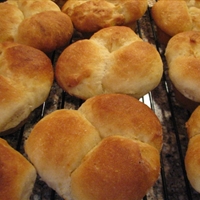 No Knead Parker House Rolls