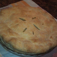 Oh My, Salmon Pie!