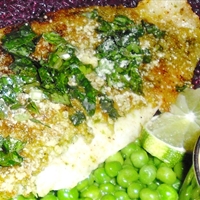 Orange Roughy Florentine