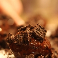 Oreo Truffles Oreo Truffles