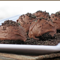 Oreo's Chocolate Surprise