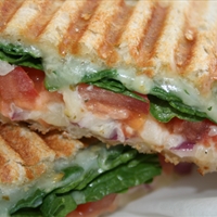 Panini Sandwich