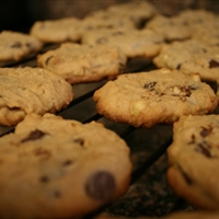 Peanut Butter Chocolate Cookies