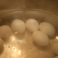 Perfect Hard-boiled Eggs
