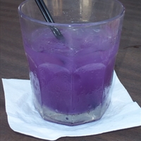 Purple Flip Flop